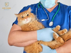 Đồng Phục Bác Sĩ Thú Y – Lí Do Và Tiêu Chí Lựa Chọn Phù Hợp